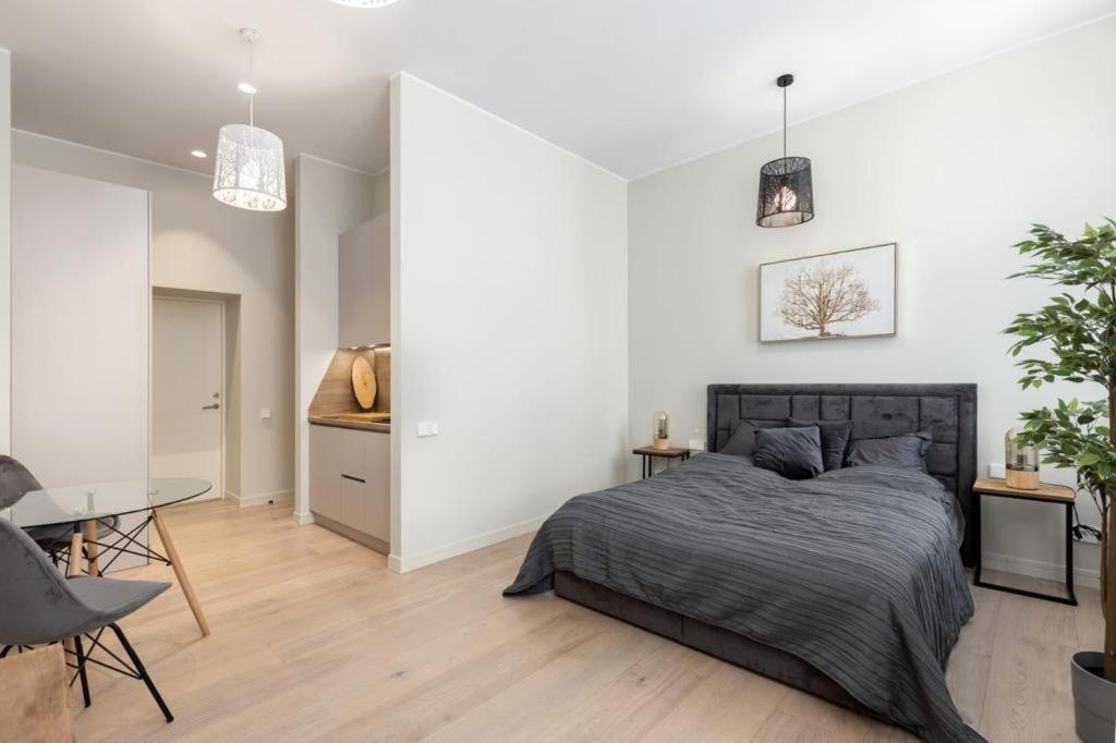 Kalnina Street Studio Apartment รีกา ภายนอก รูปภาพ