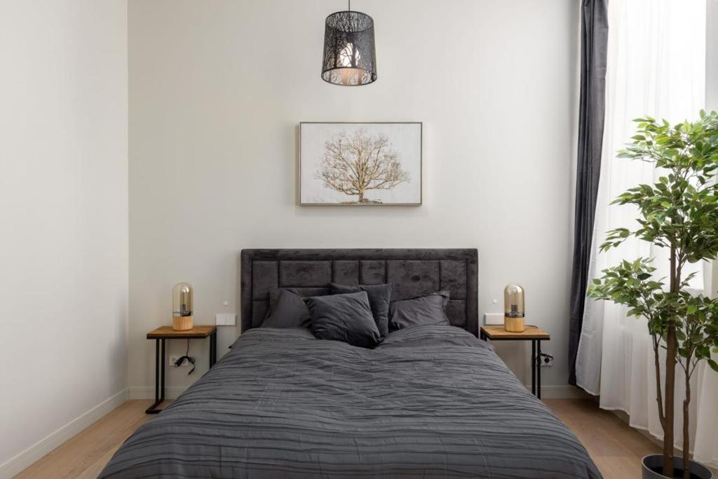 Kalnina Street Studio Apartment รีกา ภายนอก รูปภาพ
